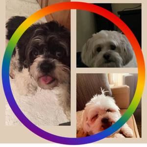 Meet your Posher, Tara